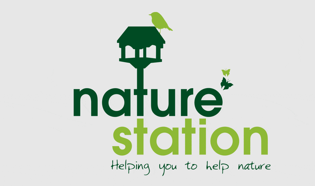 nation_station_logo
